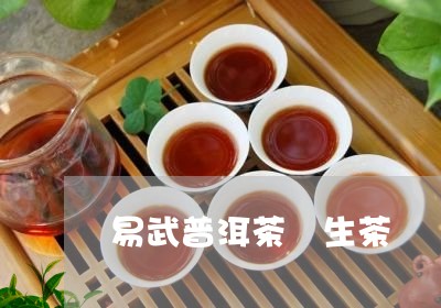 易武普洱茶 生茶/2023031693949